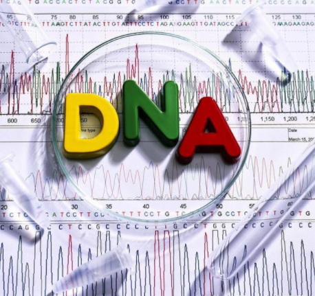 做梧州dna鉴定需要多少费用？